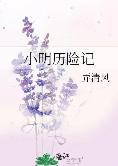 《小明历险记》小说封面