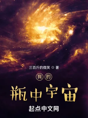 《我的瓶中宇宙》小说封面
