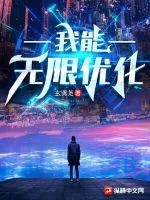 《我能无限优化》小说封面