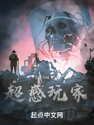 《超感玩家》小说封面