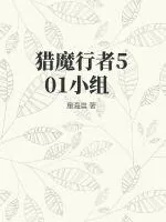 《猎魔行者501小组》小说封面