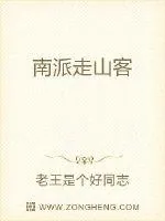 《南派走山客》小说封面