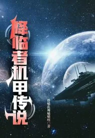 《降临者机甲传说》小说封面