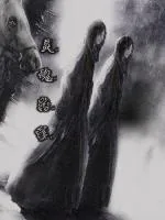 《灵魂转移计划》小说封面