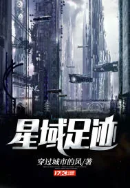《星域足迹》小说封面