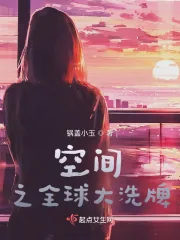 《空间之全球大洗牌》小说封面