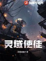 《灵域使徒》小说封面