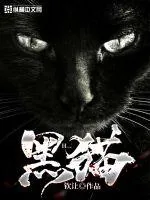 《黑猫》小说封面