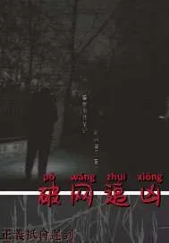 《破网追凶》小说封面