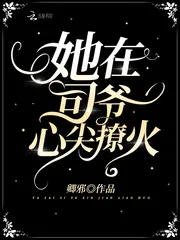 《她在司爷心尖撩火》小说封面