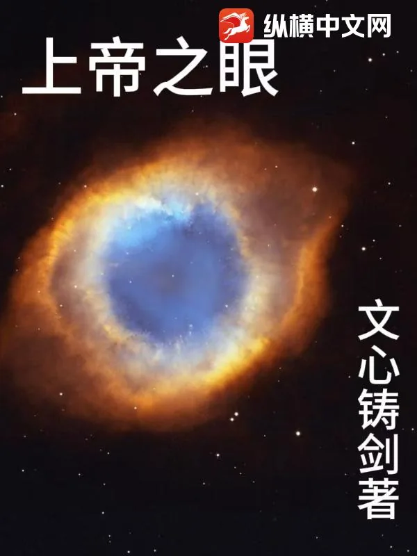 《上帝之眼》小说封面