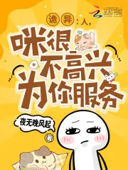 《诡异：人，咪很不高兴为你服务》小说封面