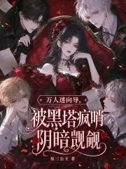 《万人迷向导，被黑塔疯哨阴暗觊觎》小说封面
