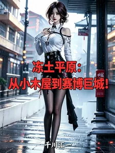 《冻土平原，从小木屋到赛博巨城！》小说封面