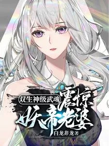 《双生神级武魂，震惊妖帝老婆！》小说封面