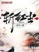 《斩红尘》小说封面