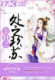 《尘封之处之玖苏》小说封面