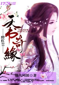 《醉红尘天书奇缘》小说封面