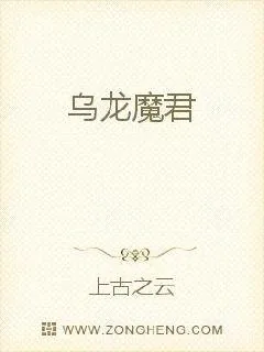 《乌龙魔君》小说封面