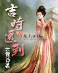 《吉时医到》小说封面