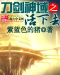《刀剑神域之活下去》小说封面