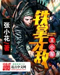 《铁掌无敌王小军》小说封面