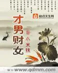 《才男财女》小说封面