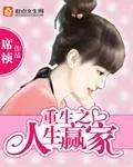 《重生之人生赢家》小说封面