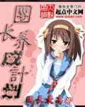 《团长养成计划》小说封面