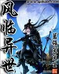 《风临异世》小说封面