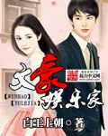 《文豪娱乐家》小说封面