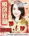 《脱贫致富奔小康》小说封面