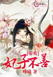 《帝欢:妃子不善》小说封面