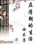 《在清朝的生活》小说封面