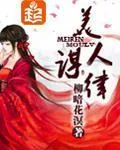《美人谋律》小说封面