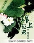 《锦上花浓》小说封面