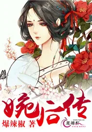 《婉后传》小说封面