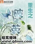 《重生之破茧》小说封面