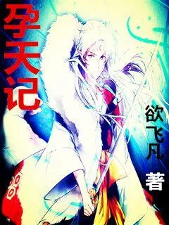 《孕天记》小说封面