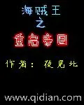 《海贼王之仗剑为帝》小说封面
