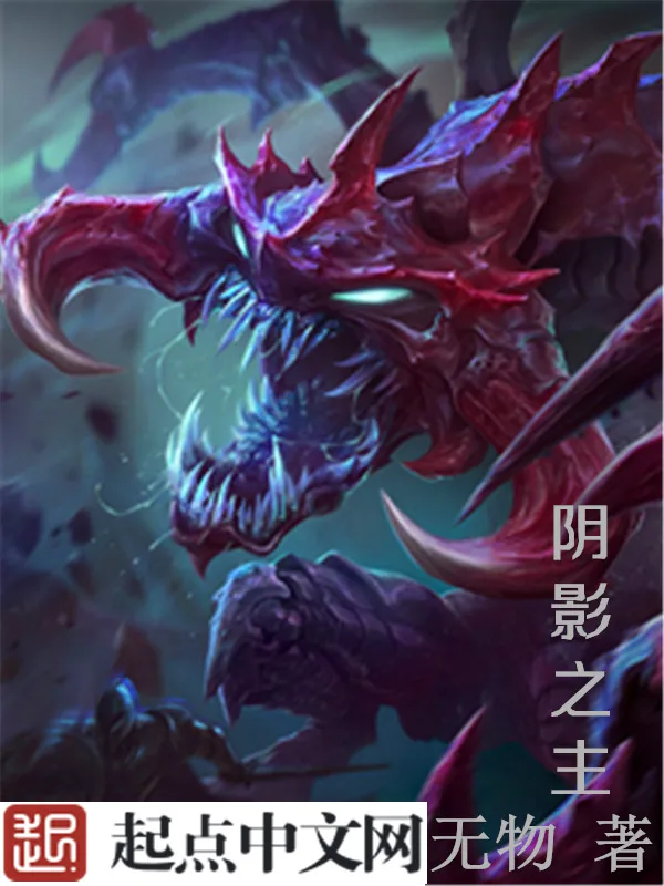 《阴影之主》小说封面