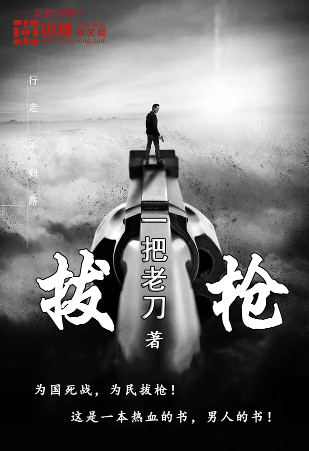 《拔枪》小说封面