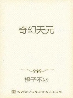 《奇幻天元》小说封面
