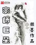 《宗师巨星》小说封面
