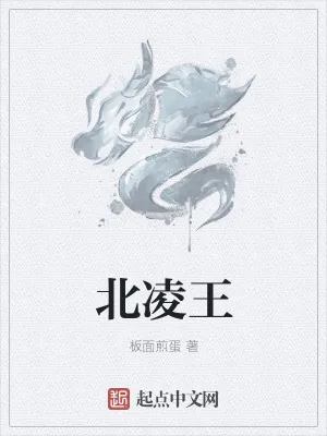 《北凌王》小说封面