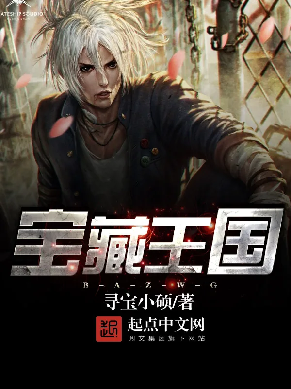 《宝藏王国》小说封面