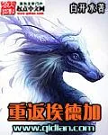 《重返埃德加》小说封面