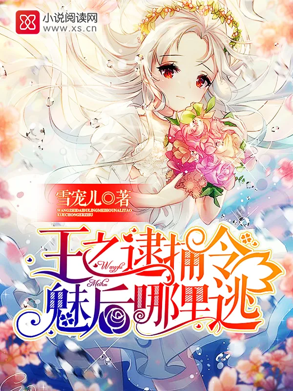 《王之逮捕令：魅后哪里逃》小说封面
