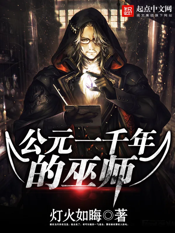 《公元一千年的巫师》小说封面