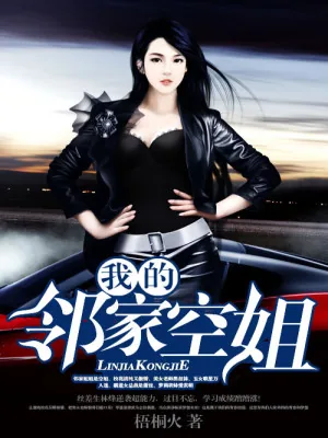 《我的邻家空姐》小说封面